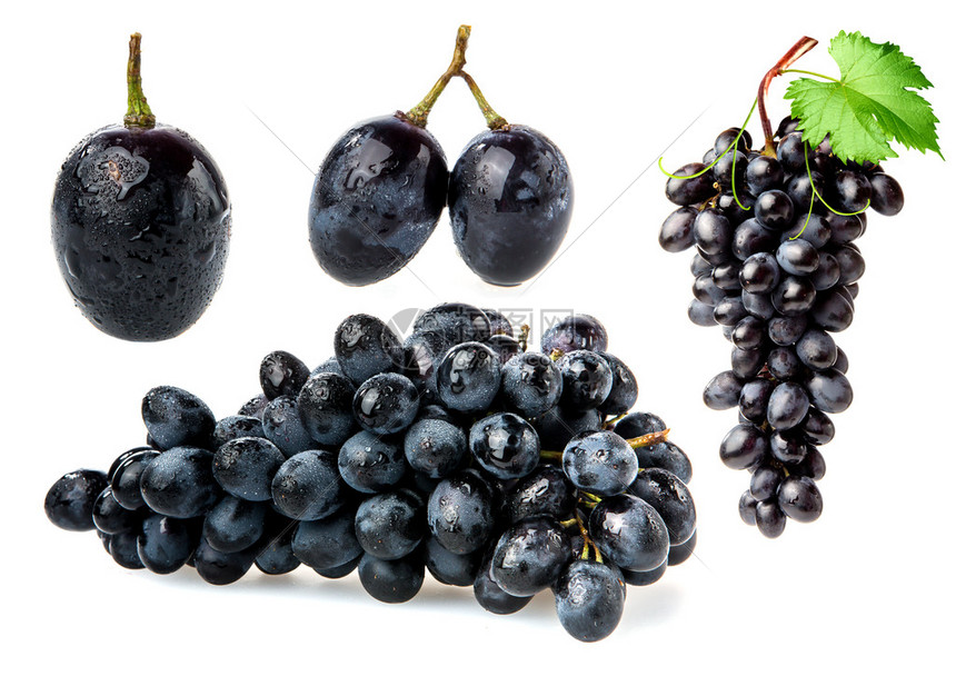 拜仁对决葡萄牙体育精彩赛事全程直播