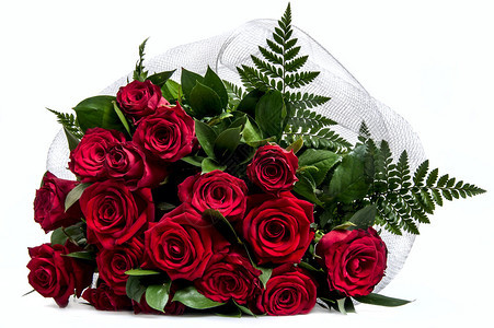 白色背景上盛开的深红玫瑰花束图片