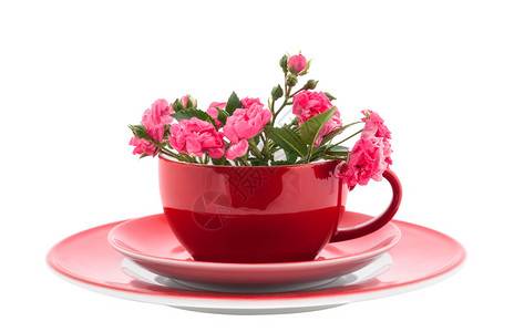 红咖啡杯与粉红玫瑰花朵图片