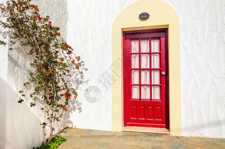 明亮的红门和绿灌木在清澈的白图片