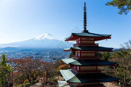 Chureito塔和富士山图片