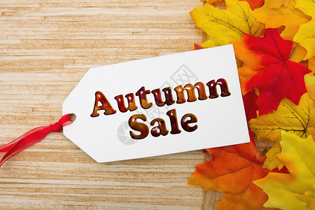 秋天销售礼品标签秋季落叶和经风湿的红木上贴有赠图片
