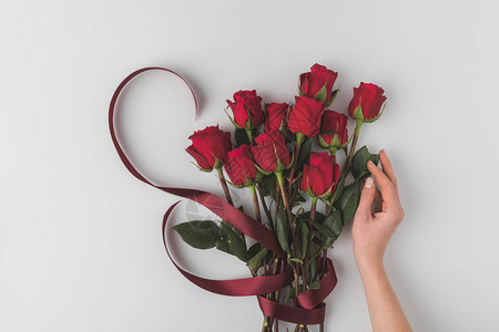 女手和红玫瑰花束带丝的红玫瑰图片