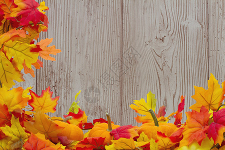 秋叶和南瓜背景图片