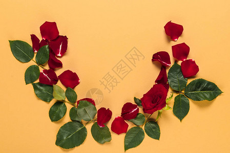 花瓣和红玫瑰框着树叶背景图片