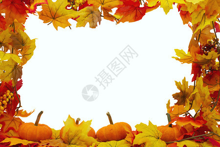 秋叶和南瓜背景秋叶与白隔绝的白色秋季叶及图片