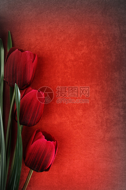 以古代背景为背景的美高清图片下载-正版图片503182829-摄图网