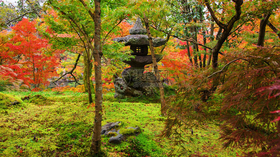 Eikando寺庙日本京都秋叶图片