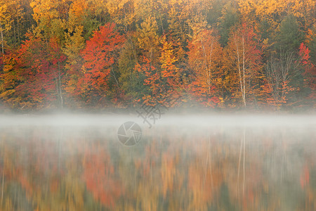 美国密歇根州上半岛雾中莫克卡辛湖黎明图片