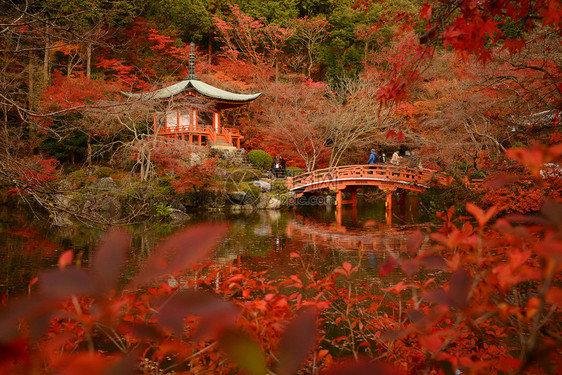京都醍醐寺的日本建筑与秋景图片