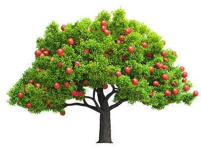 红苹果树隔离3D插图图片