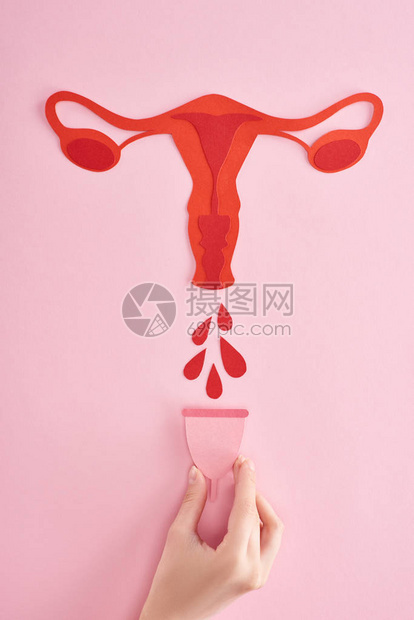 女在红纸附近拿着月经杯的部分视图切割女生殖内脏图片