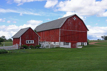 家庭奶牛场的红色谷仓和棚子图片