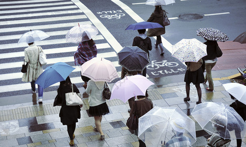 在东京斑马线上的雨伞下图片