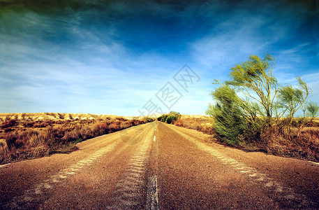 沙漠道路公图片