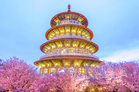 台北有樱花的天元寺图片