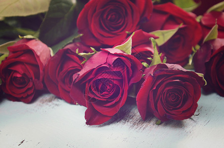 为情人节生日或特殊场合赠送红玫瑰礼物图片