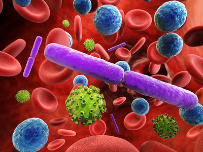 3d导致血液感染细图片