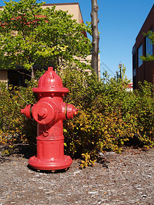 树皮地面覆盖处的红消防栓图片
