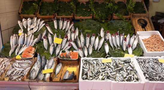鱼市场柜台配有各种海产食品清晰标图片