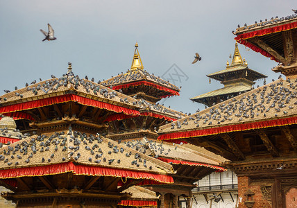 尼泊尔加德满都Durbar广场寺院图片