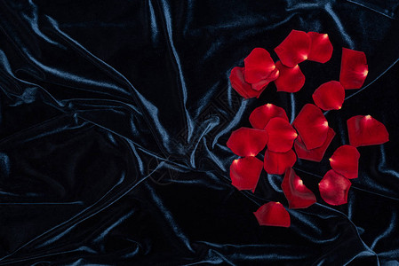 黑色闪亮的黑丝绒布有一堆红玫瑰花图片