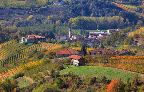 意大利北部皮埃蒙特Langhe山上的秋天葡萄园中的小村落图片