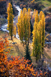 秋天山溪边的公图片