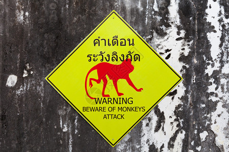 小心猴子攻击的警图片