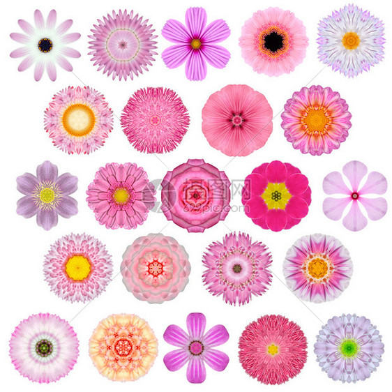 各种五颜六色的万花筒曼荼罗花的大量选择图片