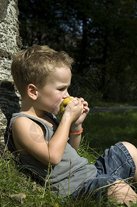 小孩坐在树边吃苹图片