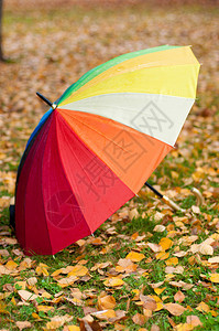 在绿草和黄色秋叶背景的彩虹伞背景图片