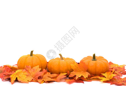 秋天的树叶底部有南瓜边框秋天的背景背景图片