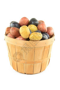 不同颜色迷你土豆黄色红色和深蓝色在木篮蒲式耳中的静止图图片