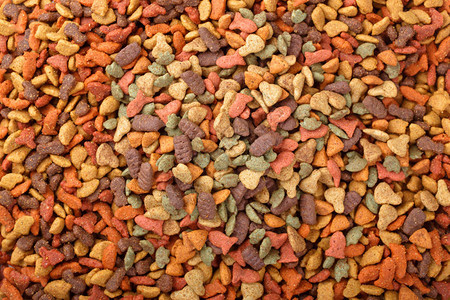 颗粒中的多彩干燥的猫犬食物图片