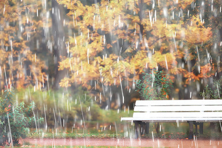 秋雨背景秋雨下公园长凳图片