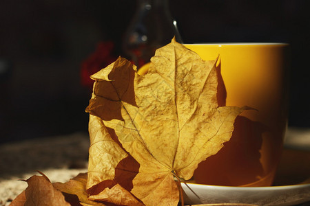 秋天秋天杯茶和五颜六色的树叶选择聚焦图片