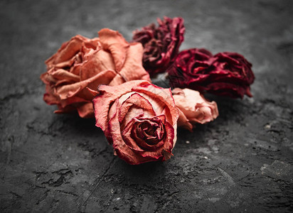 黑色混凝土表面干红玫瑰花图片