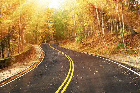 秋天的景色与森林中的道路图片