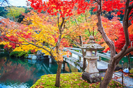 Eikando寺京都关西日本Kansai的Eikando寺园秋色图片