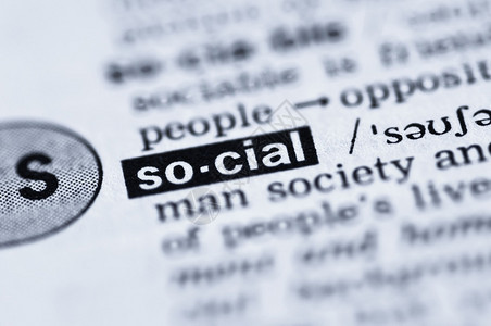 社会定义词典公开网页图片