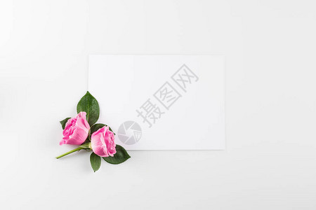 与粉红玫瑰和空白卡的花卉组合图片