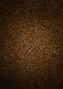 棕色皮质图片