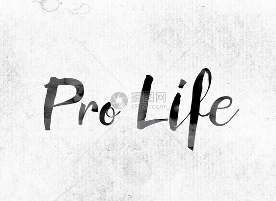 ProLife的概念和主题涂在白纸图片