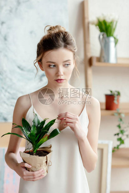 年轻美貌丽的年轻女子拿着陶植物在艺图片