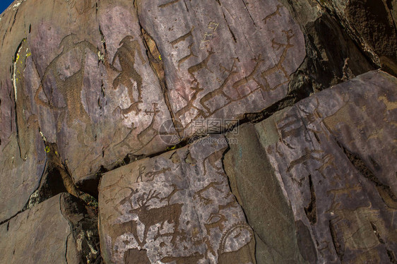Altay的Petroglyphs图片