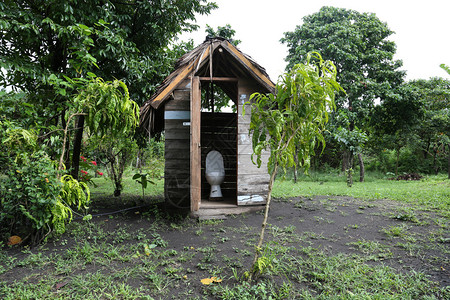 丛林厕所视图图片