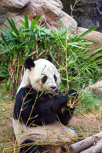 香港图片