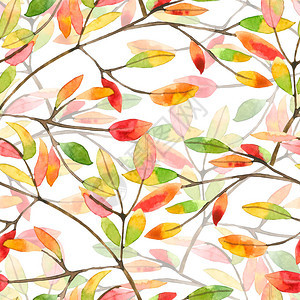 无缝秋季花卉图案与白色背景上的彩色叶子背景图片