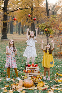 美丽的女孩在夏天的果园里吃有机苹果收获概念花园图片
